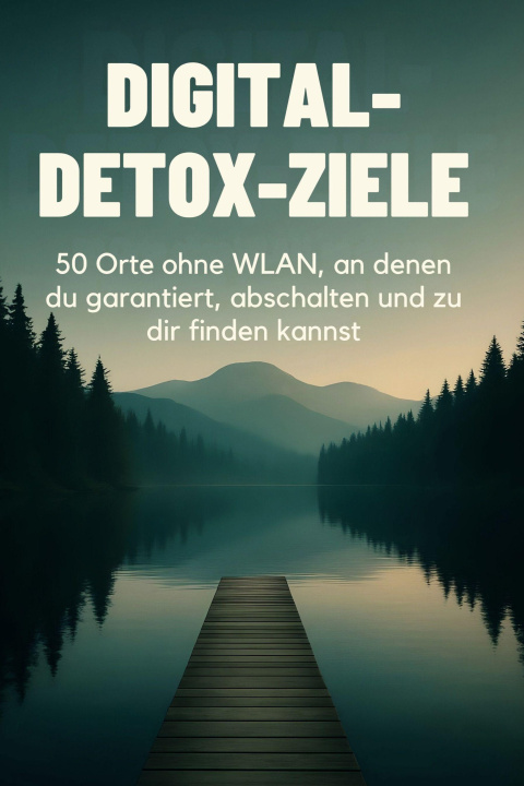 Könyv Digital-Detox-Ziele Laura Schulz