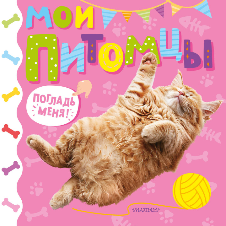 Kniha Мои питомцы 