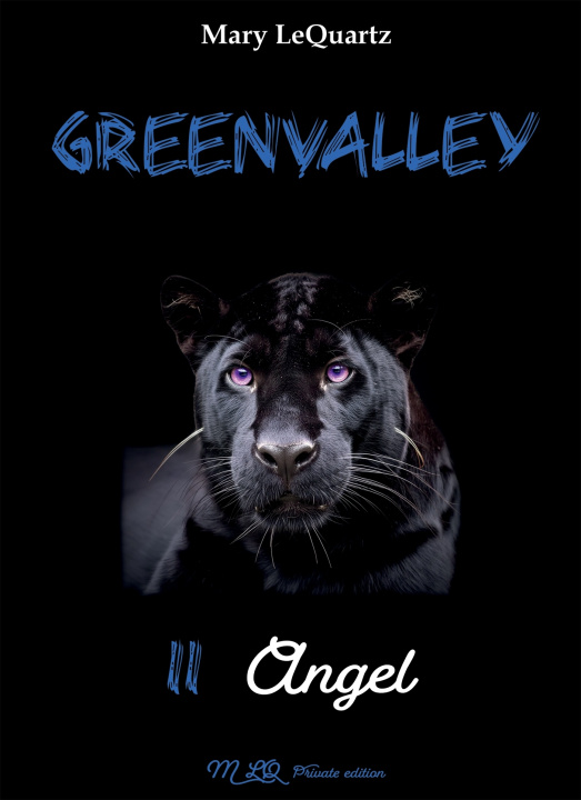 Kniha GREENVALLEY 2 - Angel Mary LeQuartz