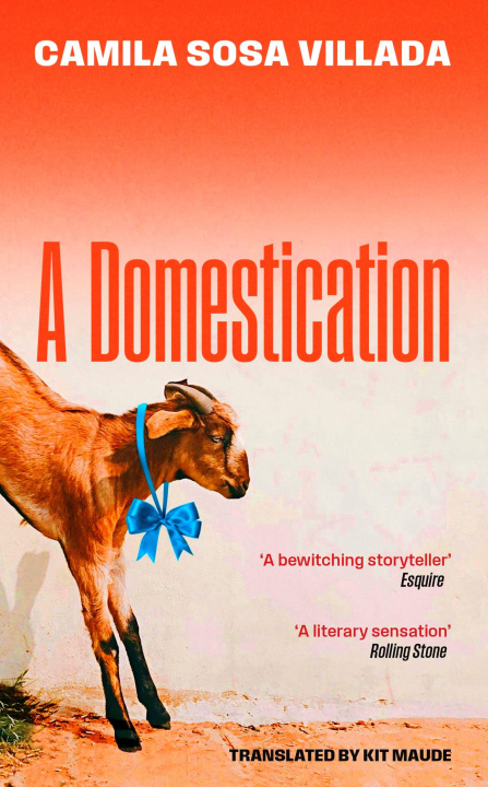 Kniha Scenes from a Domestication Camila Sosa Villada