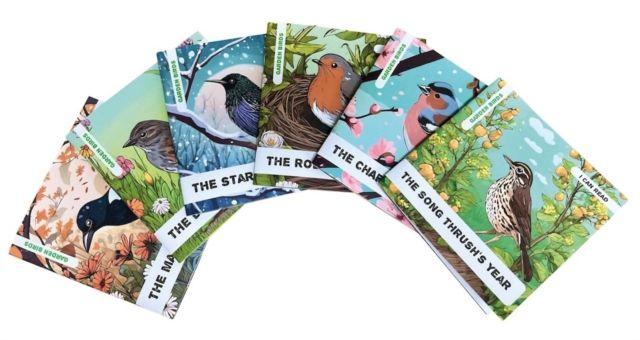 Kniha Enchanted Nature - Garden Birds Pack Caroline Petherbridge