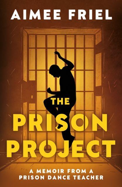Kniha Prison Project Aimee Friel