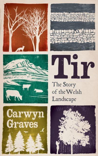 Kniha Tir Carwyn Graves