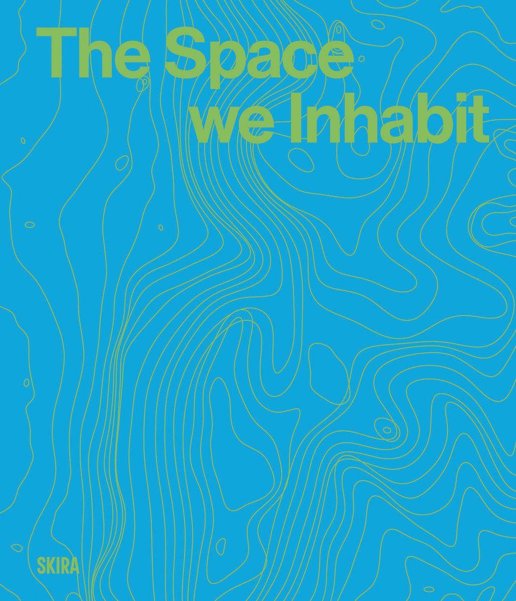 Книга Space we inhabit DEVANEY EDITH