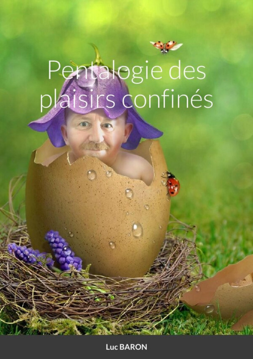 Kniha Pentalogie des plaisirs confinés Luc Baron