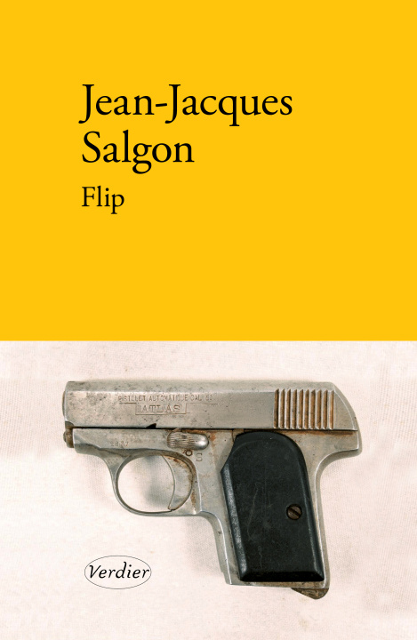 Kniha Flip Salgon
