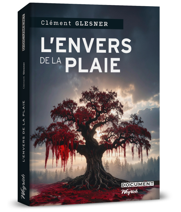 Книга Envers de la plaie (L') Glesner