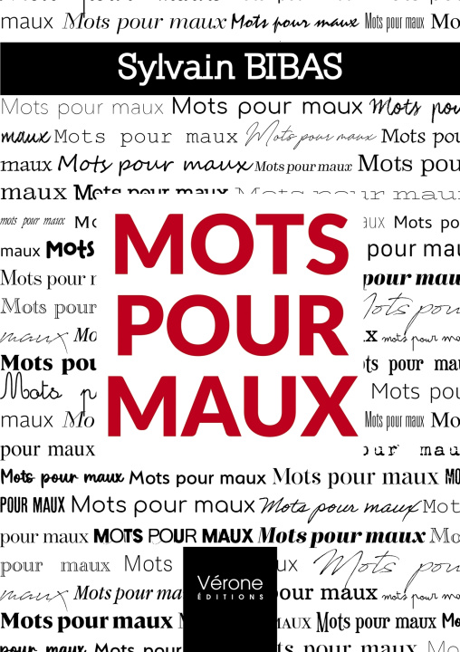 Kniha Mots pour maux Sylvain Bibas