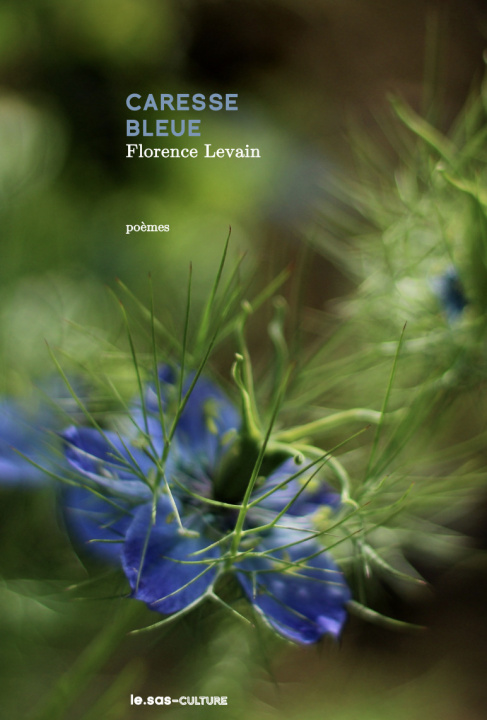 Kniha Caresse bleue Levain