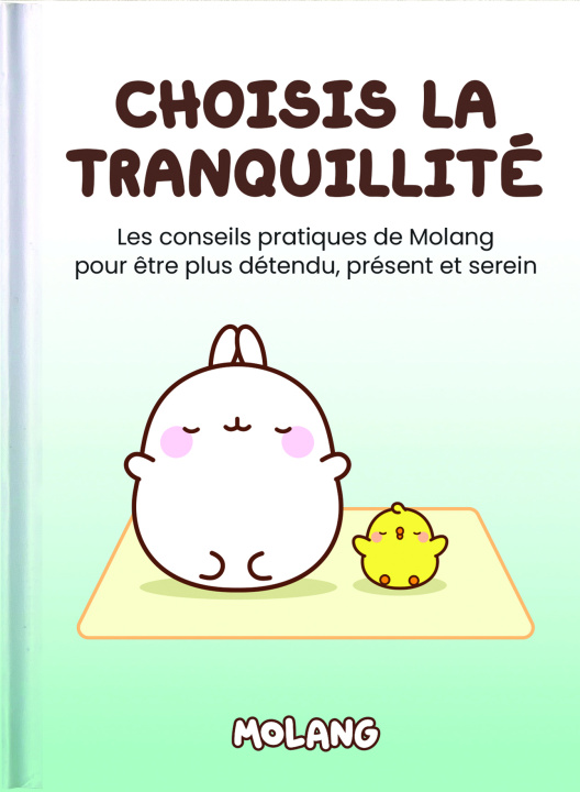 Книга Choisis la tranquilité Exley