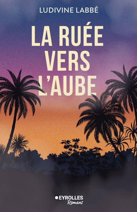 Kniha La ruée vers l'aube Labbé