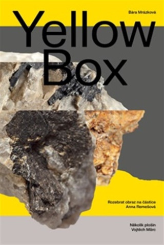 Книга Yellow Box Bára Mrázková