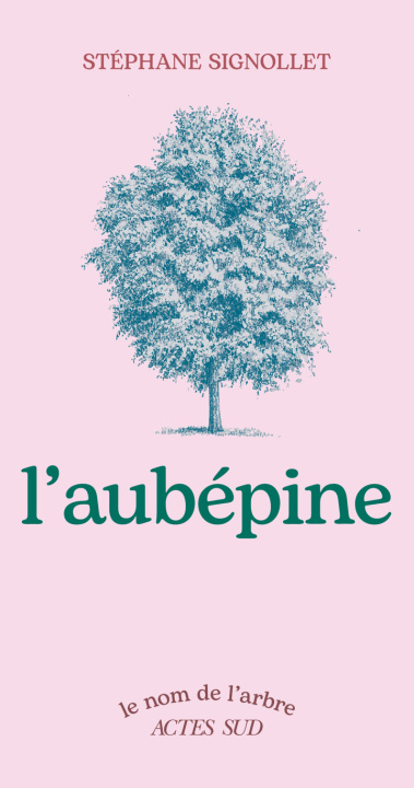 Kniha L'Aubépine Signollet
