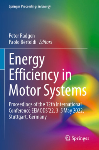 Kniha Energy Efficiency in Motor Systems Peter Radgen