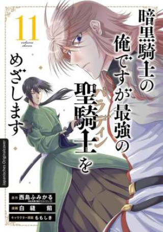 Kniha Dark Paladin 11 Fumikaru Nishijima