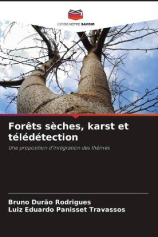Kniha Forêts sèches, karst et télédétection Bruno Durão Rodrigues