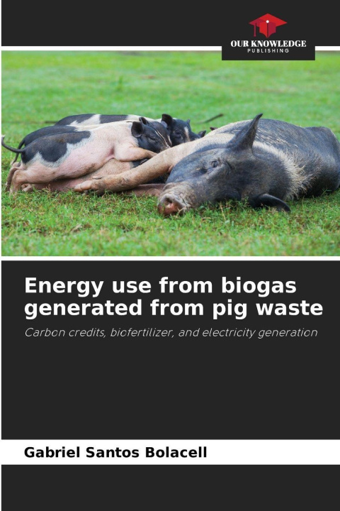 Kniha Energy use from biogas generated from pig waste Gabriel Santos Bolacell