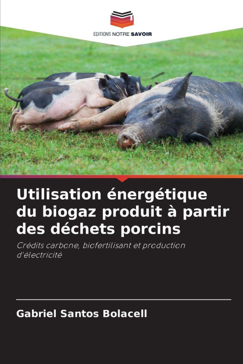 Kniha Utilisation énergétique du biogaz produit à partir des déchets porcins Gabriel Santos Bolacell