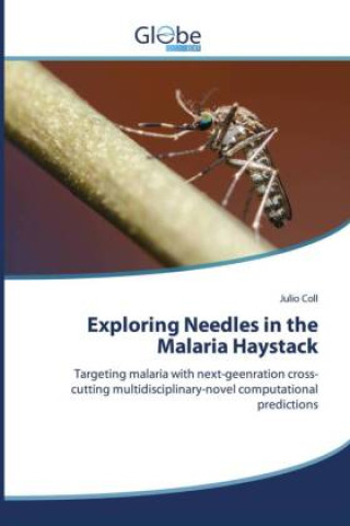 Kniha Exploring Needles in the Malaria Haystack Julio Coll