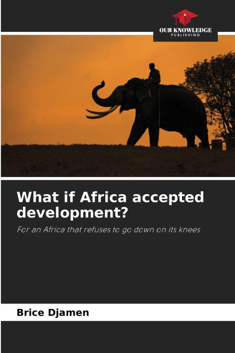 Kniha What if Africa accepted development? Brice Djamen