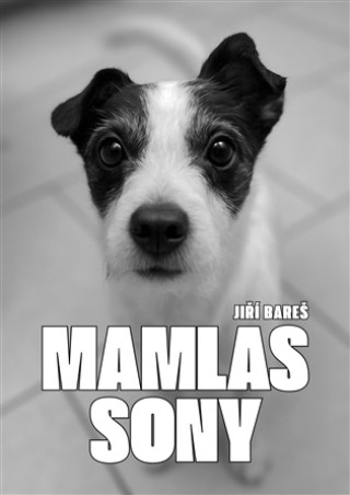 Kniha Mamlas Sony Autor Fiktivní