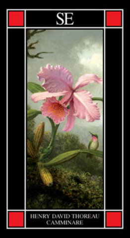 Carte Camminare Henry David Thoreau