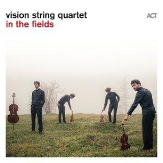 Audio  Vision String Quartet: In the Fields Vision String Quartet