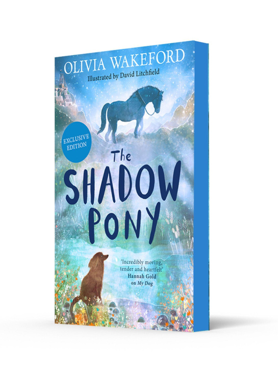 Kniha Shadow Pony Olivia Wakeford