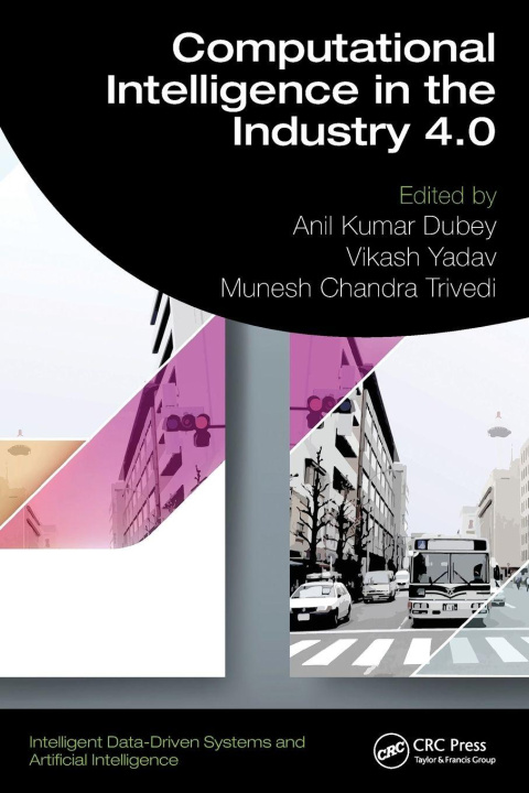 Book Computational Intelligence in the Industry 4.0 Anil Kumar Dubey