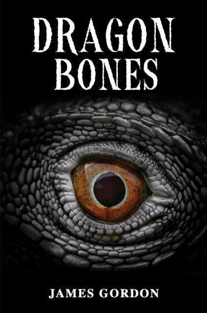 Kniha Dragon Bones James Gordon