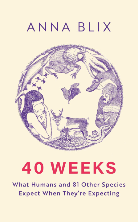 Kniha 40 Weeks Anna Blix