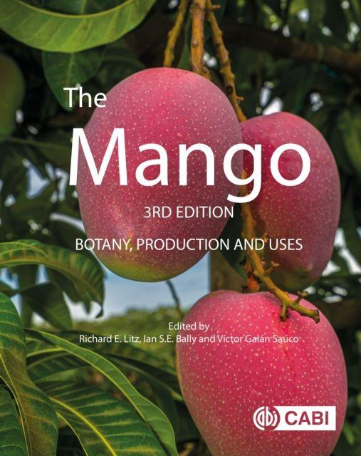 Kniha Mango Richard Litz