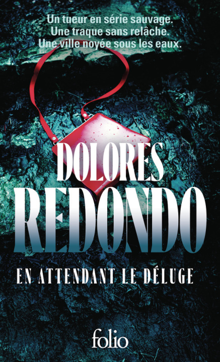 Buch En attendant le déluge Redondo