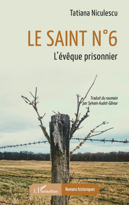 Kniha Le saint n° 6 Niculescu