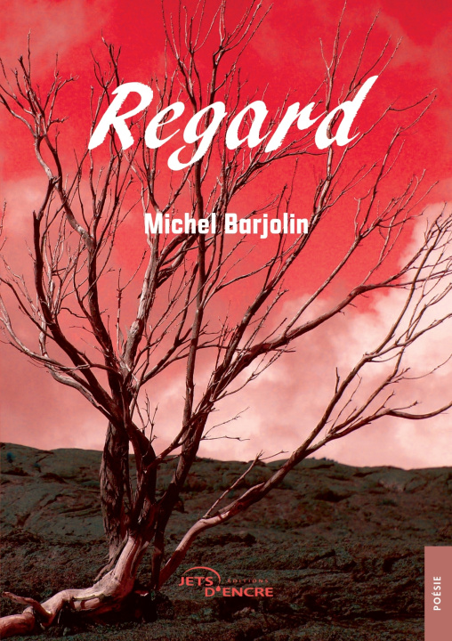 Kniha Regard Michel Barjolin