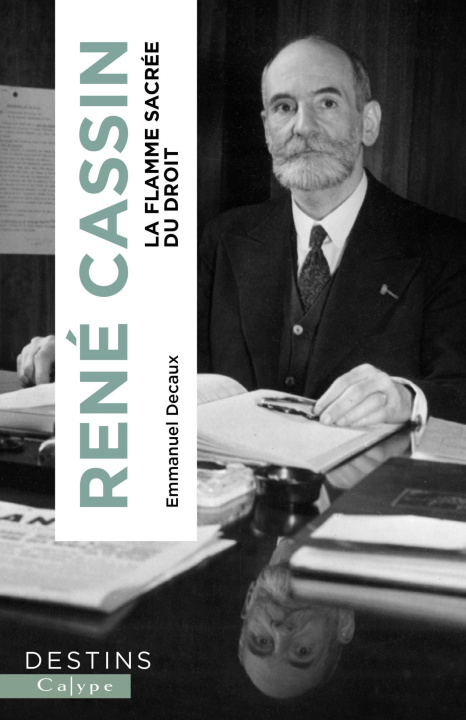 Book René Cassin Decaux