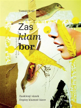 Книга Zasklambor Tomáš Král