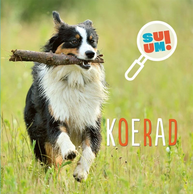 Kniha Koerad Carole Bourset