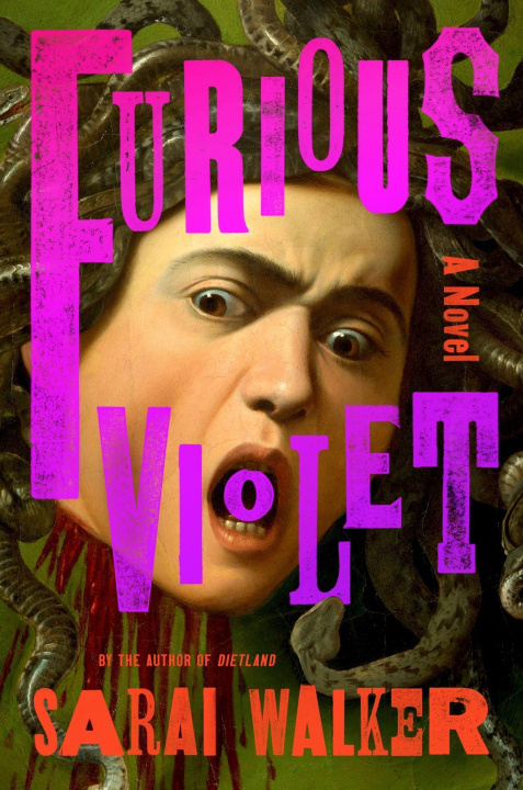 Kniha FURIOUS VIOLET WALKER SARAI