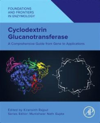Kniha Cyclodextrin Glucanotransferase Kiransinh Rajput