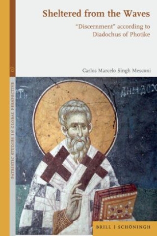 Book Sheltered from the Waves Carlos Marcelo Singh Mesconi