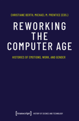 Könyv Reworking the Computer Age Christiane Berth