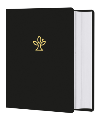 Книга Die Bibel. Handschmeichler Ausgabe Deutsche