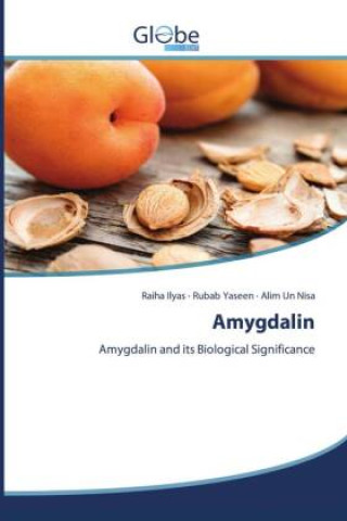 Book Amygdalin Raiha Ilyas