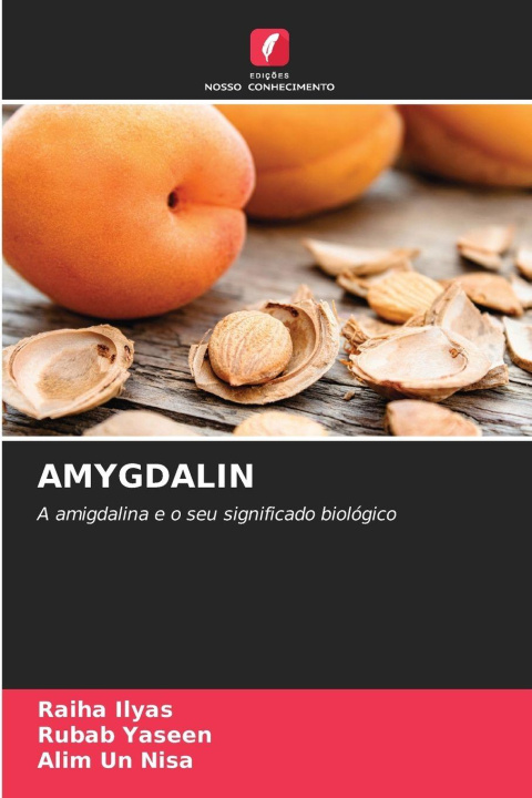 Buch AMYGDALIN Raiha Ilyas