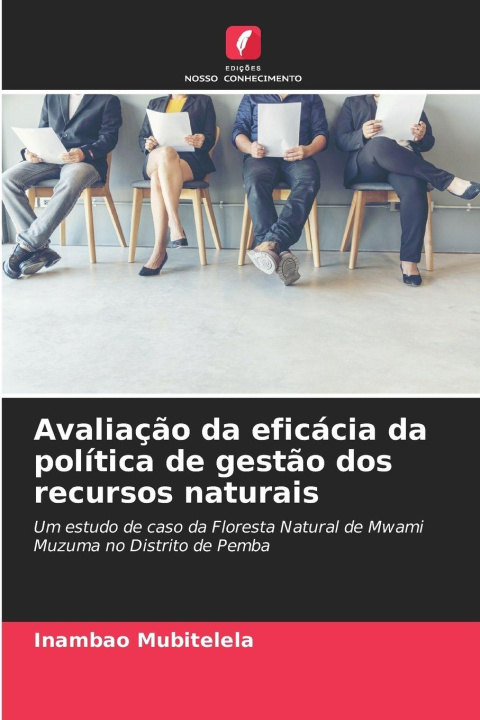 Kniha Avaliação da eficácia da política de gestão dos recursos naturais Inambao Mubitelela