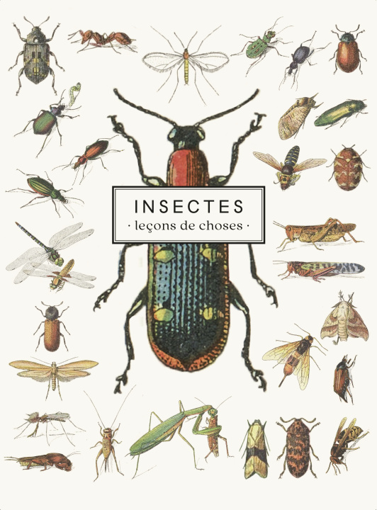 Kniha Carnet Insectes 