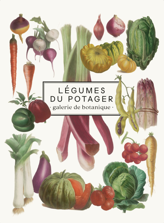 Kniha Carnet Légumes 