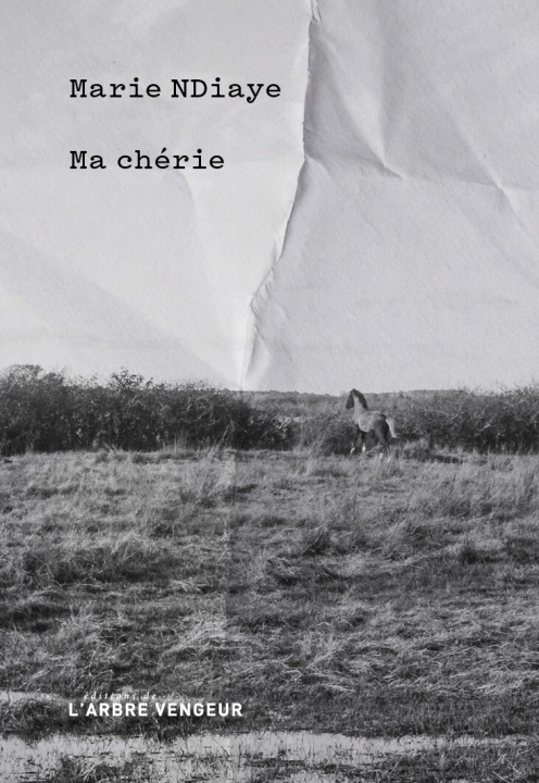 Buch Ma chérie Marie NDIAYE