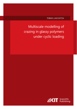 Книга Multiscale modelling of crazing in glassy polymers under cyclic loading Tobias Laschütza